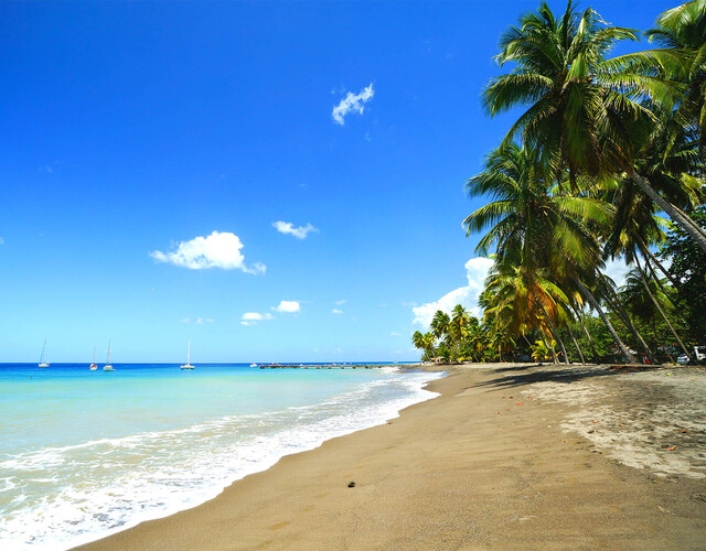 Les 5 plus belles plages du sud de la Martinique